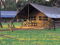 Kichwa Tembo Camp